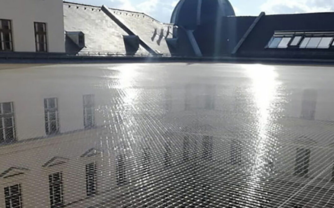 Bautenschutz mit Taubenabwehr: Methoden, Kosten Praxis