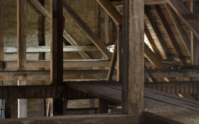 Holzschutz, Holzwurm & Hausbock erkennen und professionell bekämpfen