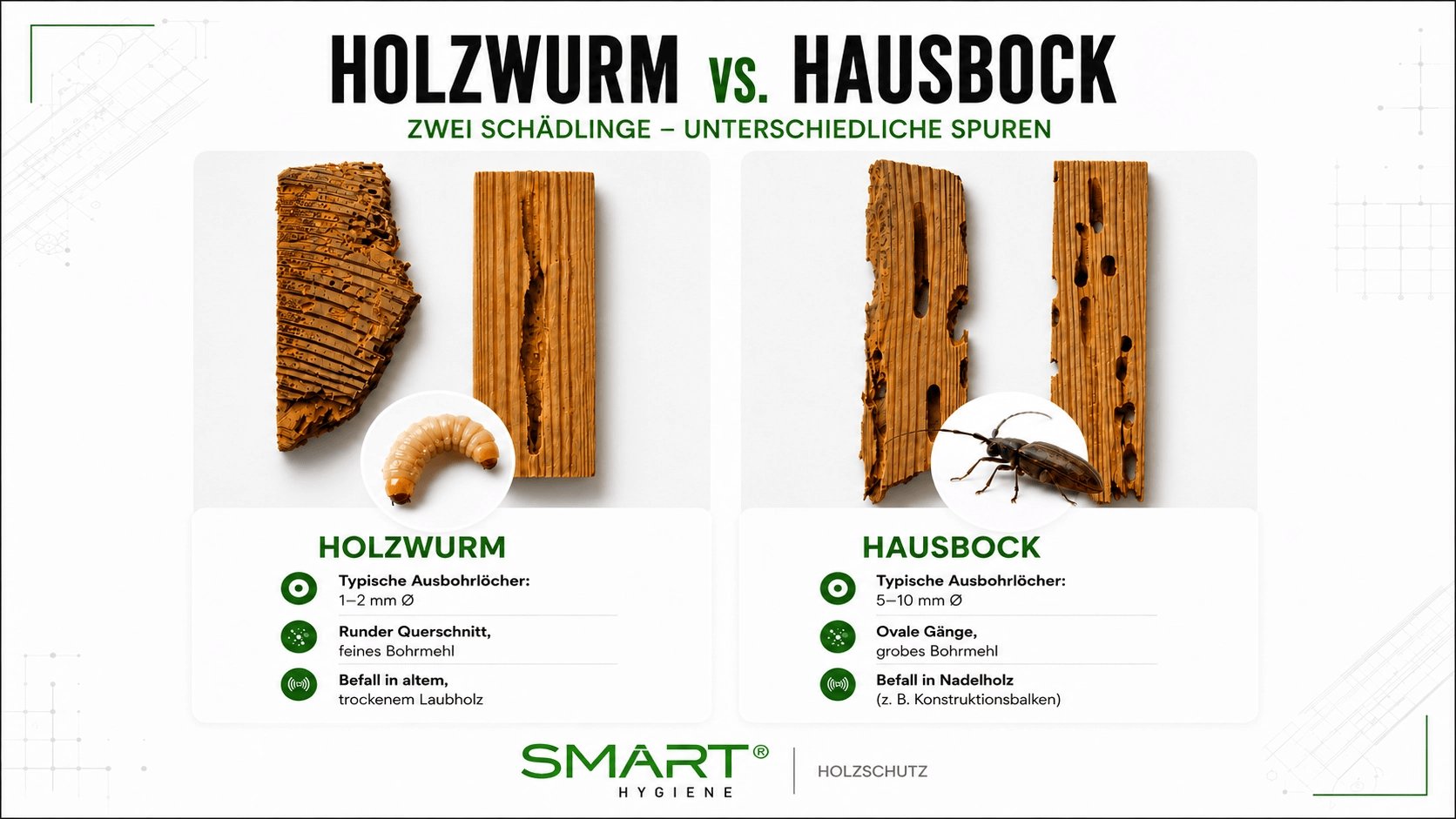 Smarthygiene Hausbock
