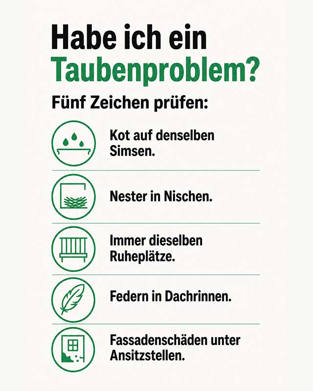 Inforgrafik